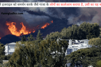 अमेरिका का कैलिफोर्निया में जंगल में फैली आग का तांडव लगातार जारी है