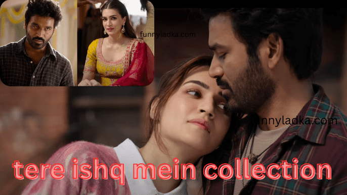 tere ishq mein collection